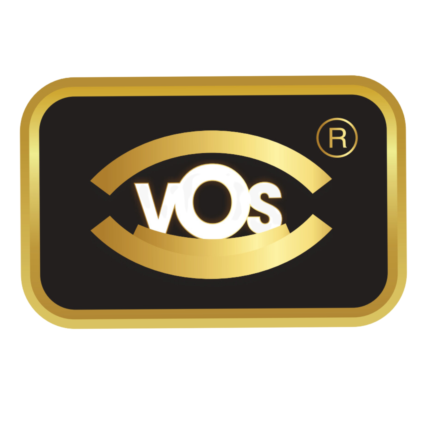 VOSLMS